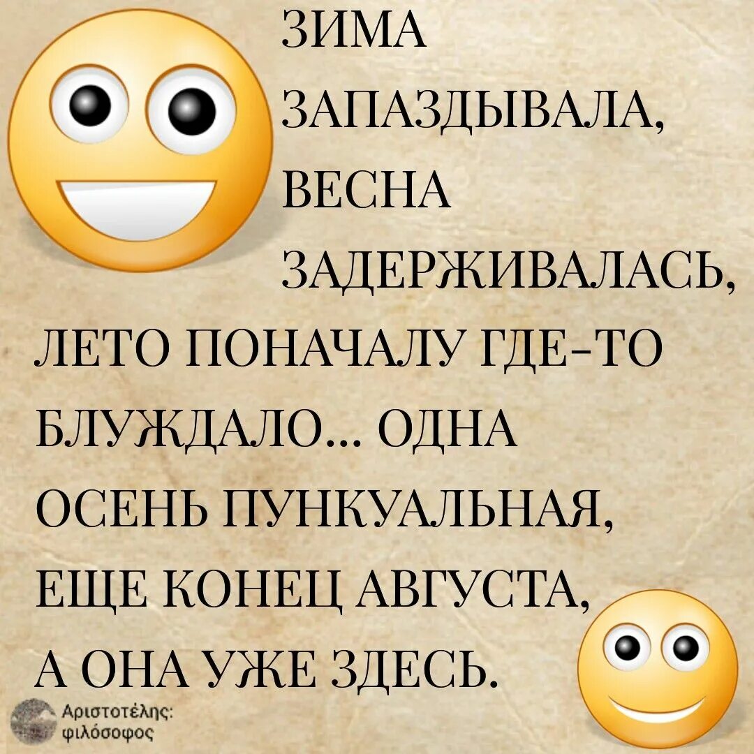 Пора навел. Рыба гниёт с головы пословица. Лестницу метут сверху. Пословица лестницу метает с верху. Рыба гниет с головы.