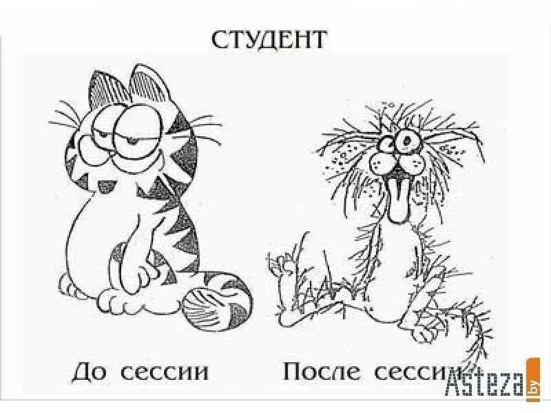 После летней сессии. Студент до сессии и после сессии. До и после сессии. Сессия рисунок. Студент до и после сессии.