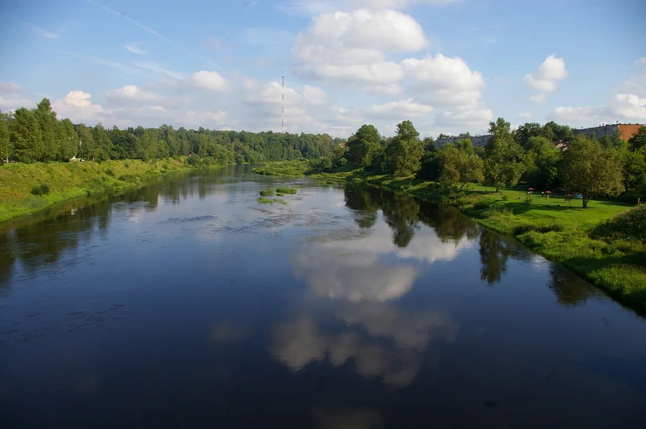 Боровичи Новгородская область. Боровичи природа. Боровичи природа края Новгородская. Природа Боровичского района Новгородской области. Горячего новгородская область