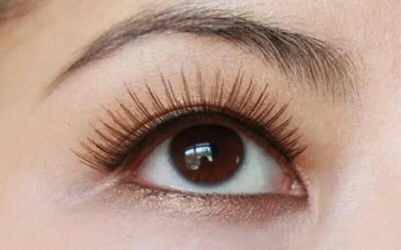 Brown lashes