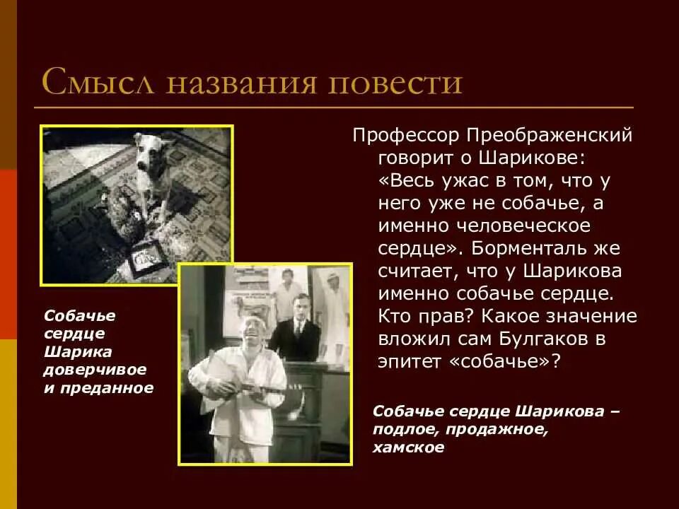 Как воспитывали шарикова. Пьеса Собачье сердце. М.А. Булгакова «Собачье сердце». Собачье сердце презентация. Профессор Преображенский Собачье сердце.