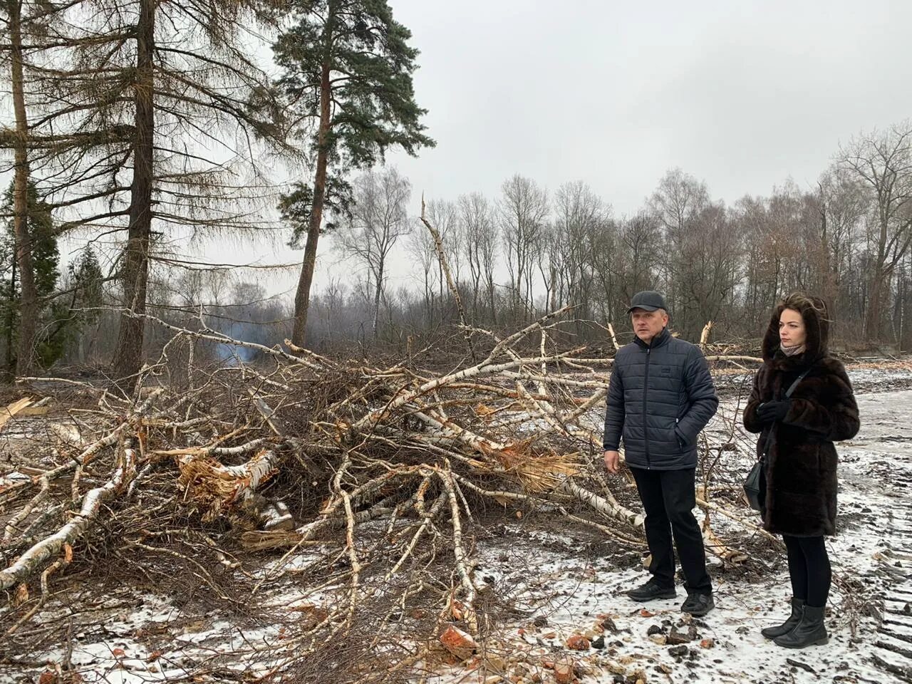 Урванский лес в Новомосковске. Вырубка лесов в Тульской области. Рубит дерево. ТРОО экологическая защита.