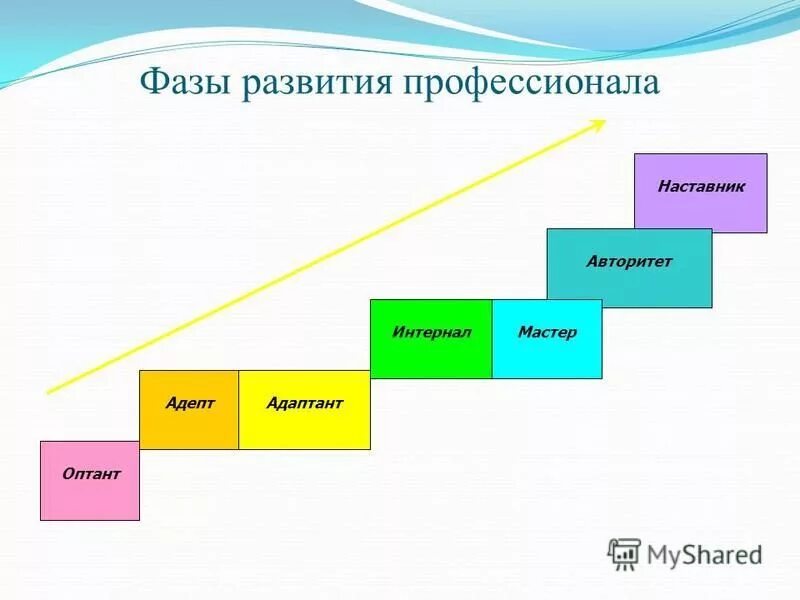 Фазы становления профессионала. Назовите основные фазы развития профессионала. Назовите основные фазы развития профессионала. Фазы жизненного пути профессионала. Фазы жизненного пути профессионала.