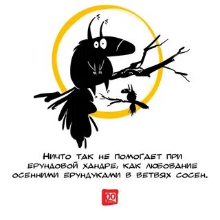 У мирона на носу сидит ворона