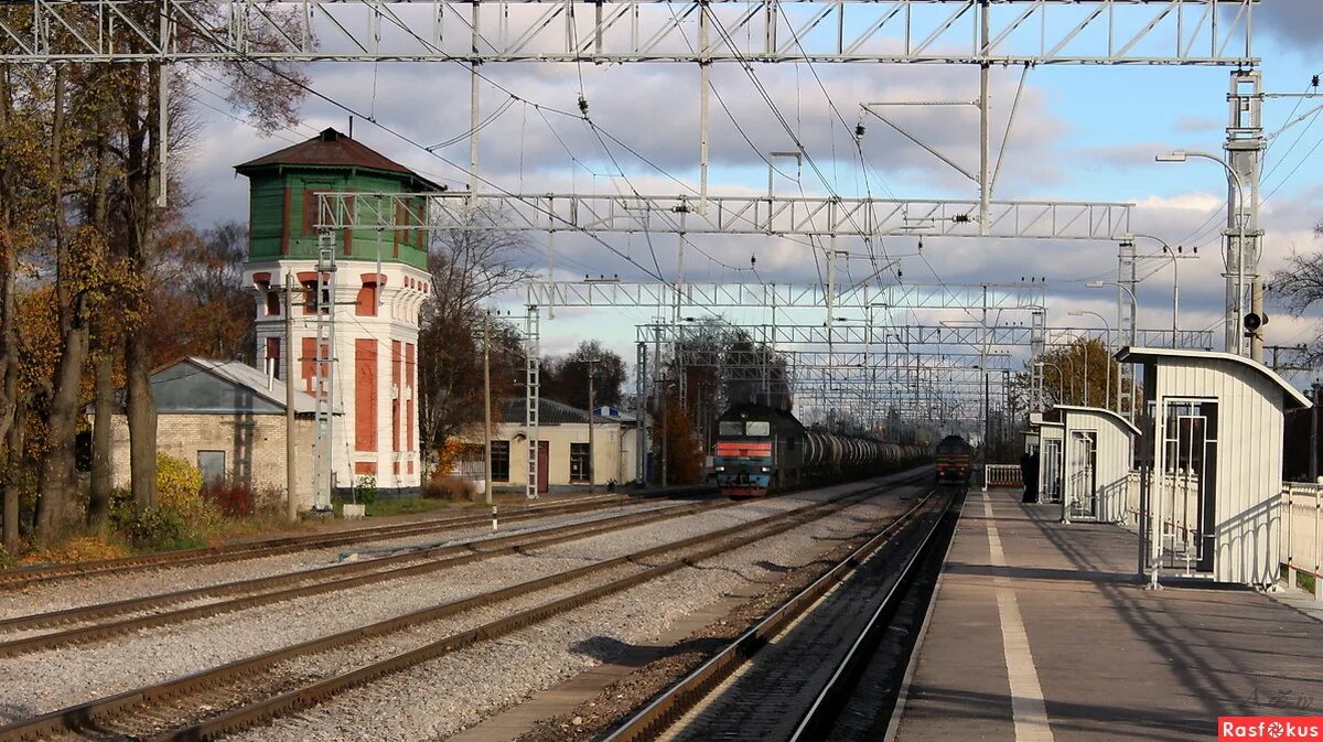 посёлок курск волосовский район ленинградской области. волосовское городское поселение. посёлок курск волосовский район. волосовское городское поселение. город волосово ленинградской области на карте.