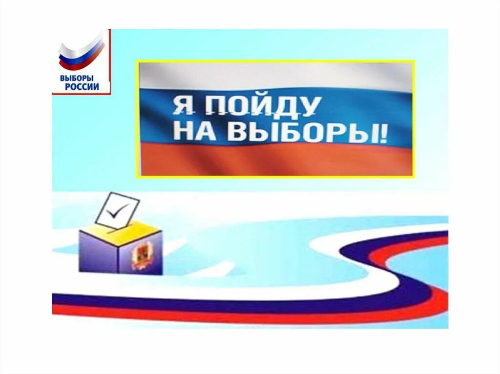 Какая информация по выборам