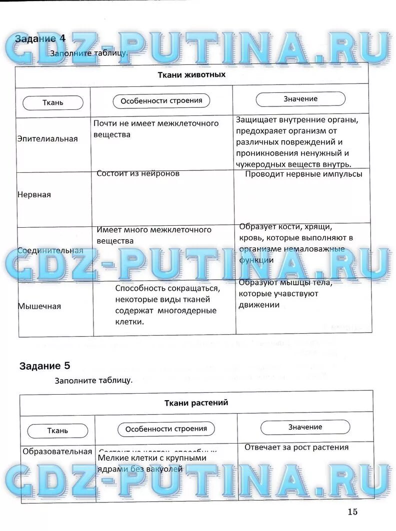 Заполнить таблицу строение тканей животных. Ткани животных 5 класс биология таблица. таблица тканей ткани животных биология 5 класс.