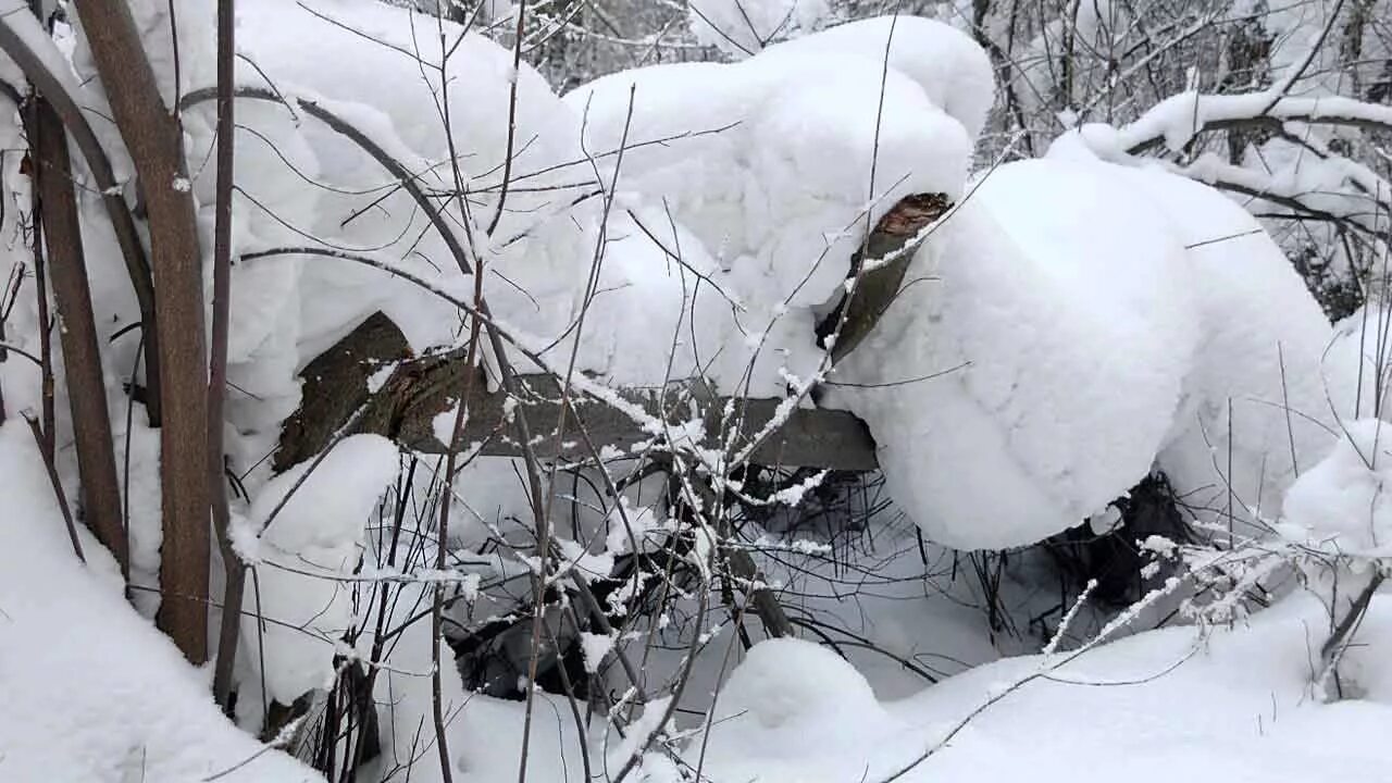 Наша экспедиция задуманная еще зимой носила научный. Место закладки зимой в лесу. Места закладок зимой. Зимняя сказка Кемерово. Сосновый Бор Кемерово зимой.