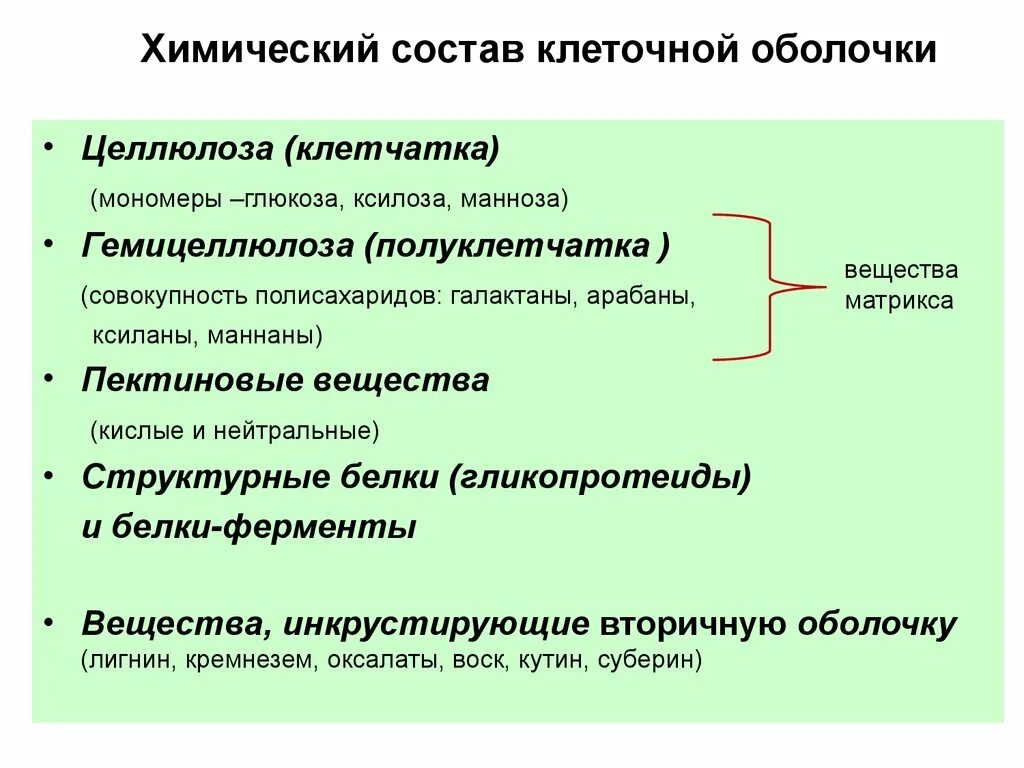 Химические изменения клеток. Клеточная оболочка ее строение химический состав и функции. Химический состав клеточной оболочки. Химический состав клеточной оболочки растений. Химический состав клеточной стенки растений.