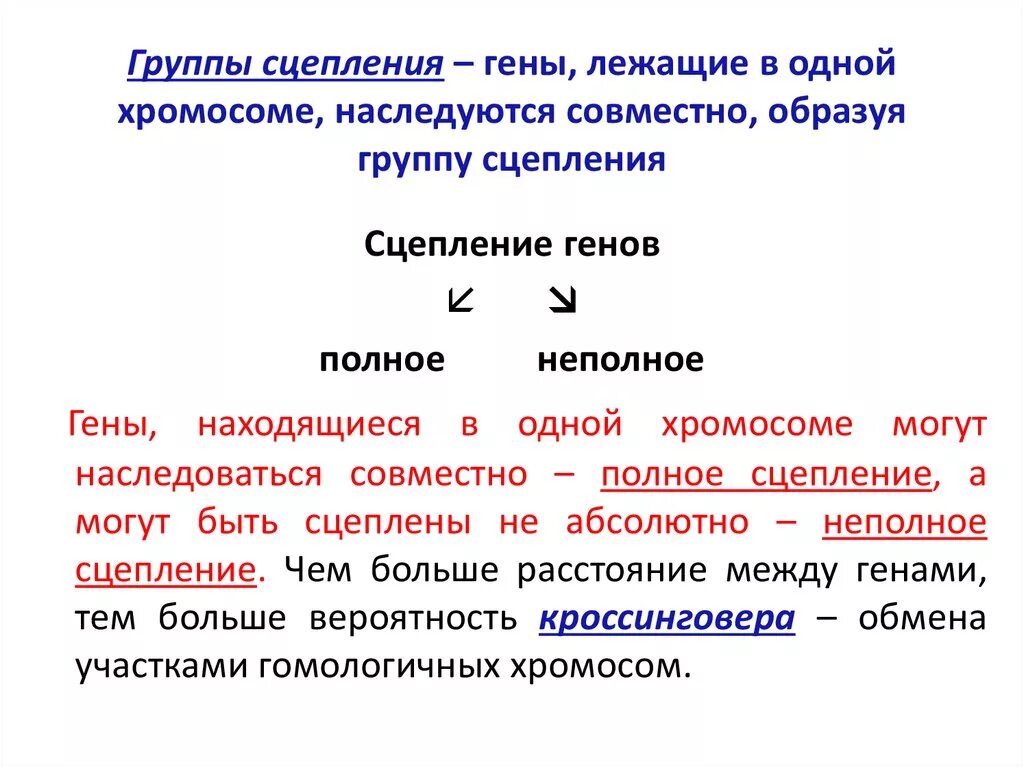 Гены в хромосоме образуют группу