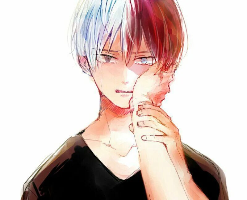 Todoroki reader