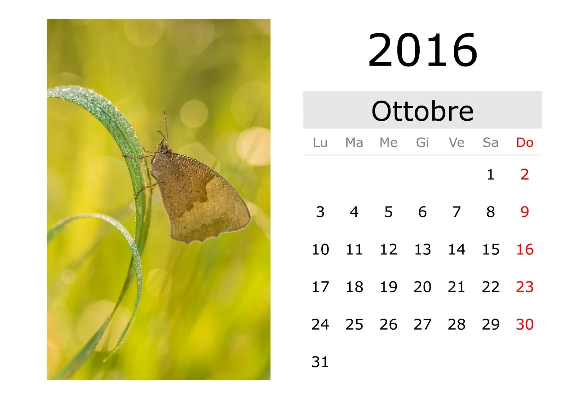 Октябрь 2016. Октябрь 2016 года календарь. Календарь октябрь. Календарь октябрь 2016г. 10 октябрь 2016