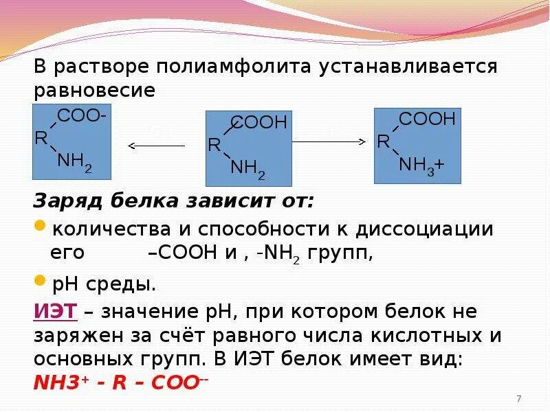 Белковая точка. От чего зависит заряд белка в водном растворе. Заряд белка в растворе зависит от. Заряд белка. Изоэлектрическая точка белка. Заряд молекулы белка.