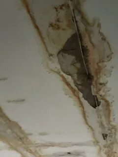 Капает с потолка туалета