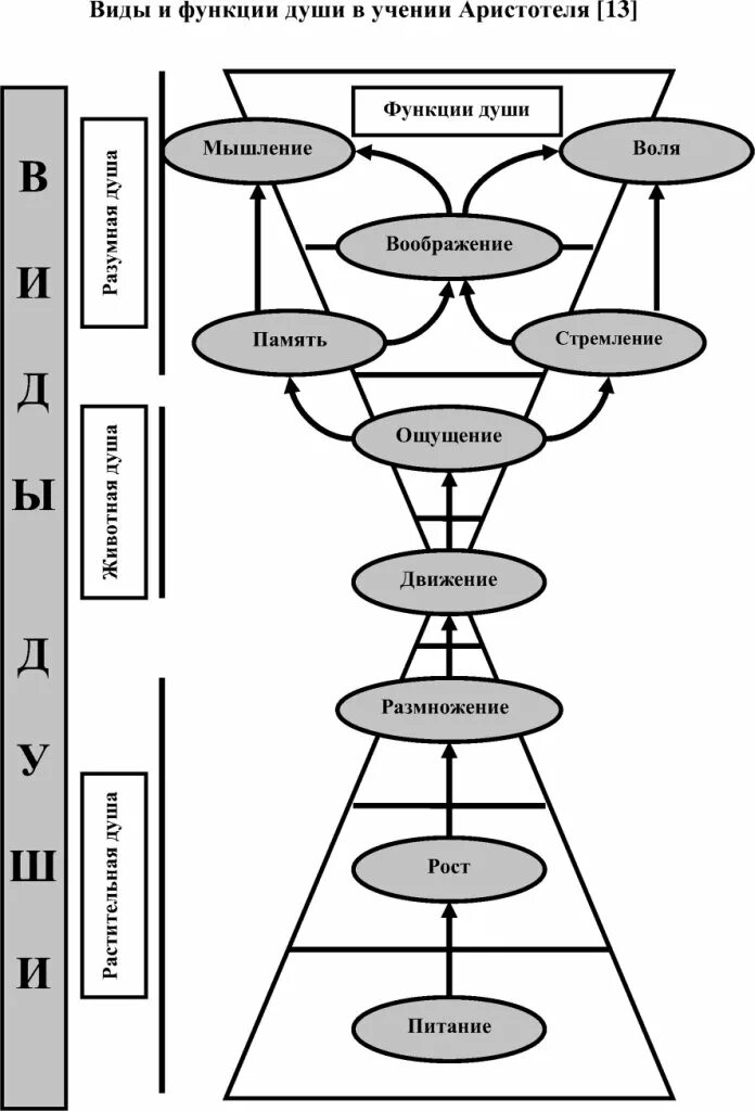 Схема душа. Структура души по Аристотелю. Учение о душе Аристотеля схема. Функции души психология. Задача души 3