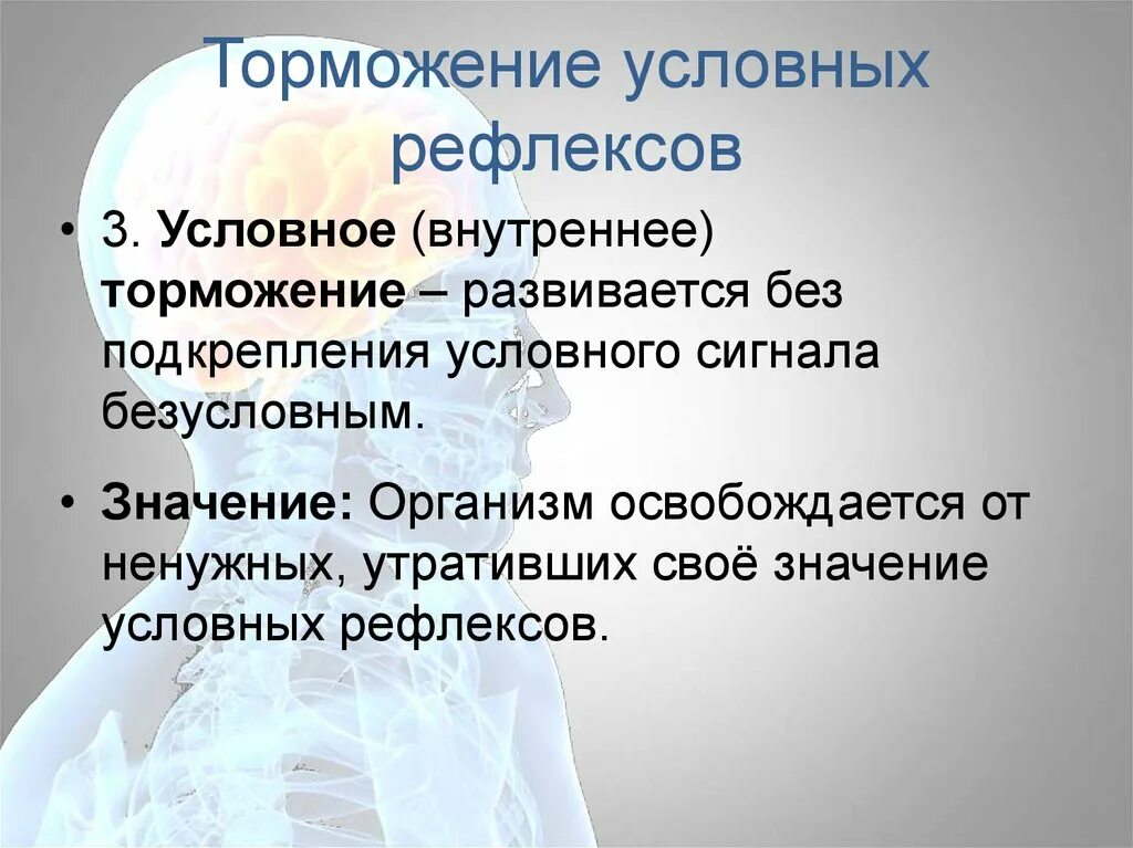 Торможение условных рефлексов. Условное торможение условных рефлексов. Внутреннее торможение условных рефлексов. Безусловное торможение условных рефлексов.