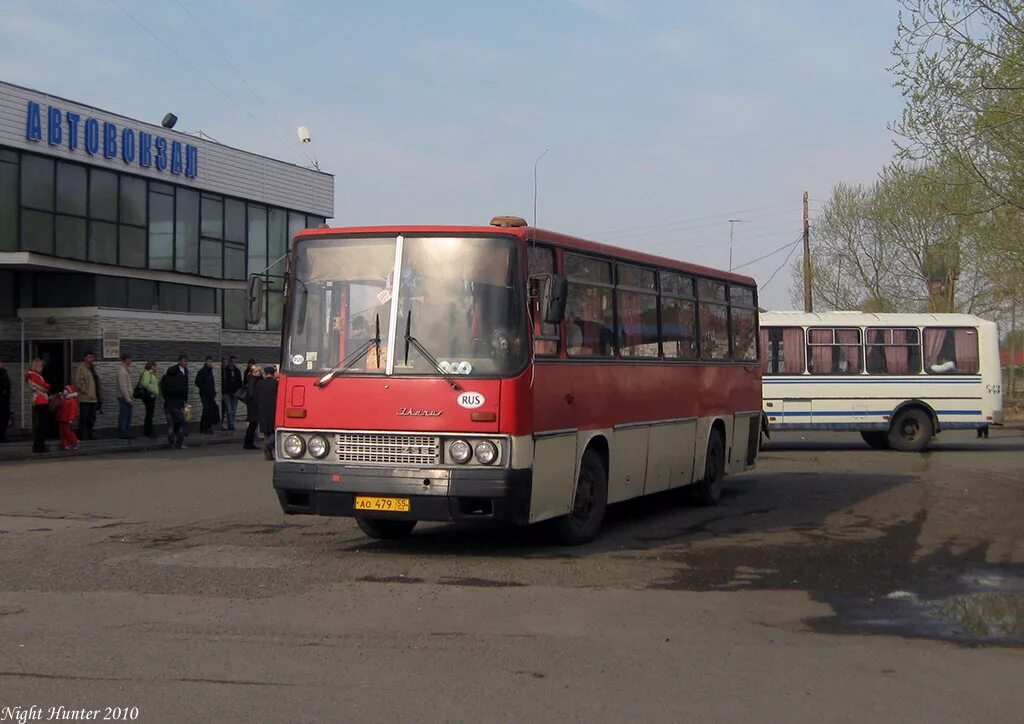 Икарус 256.55. Икарус Омск. Омск обл Автотранс Икарус. Омский автовокзал автобусы.