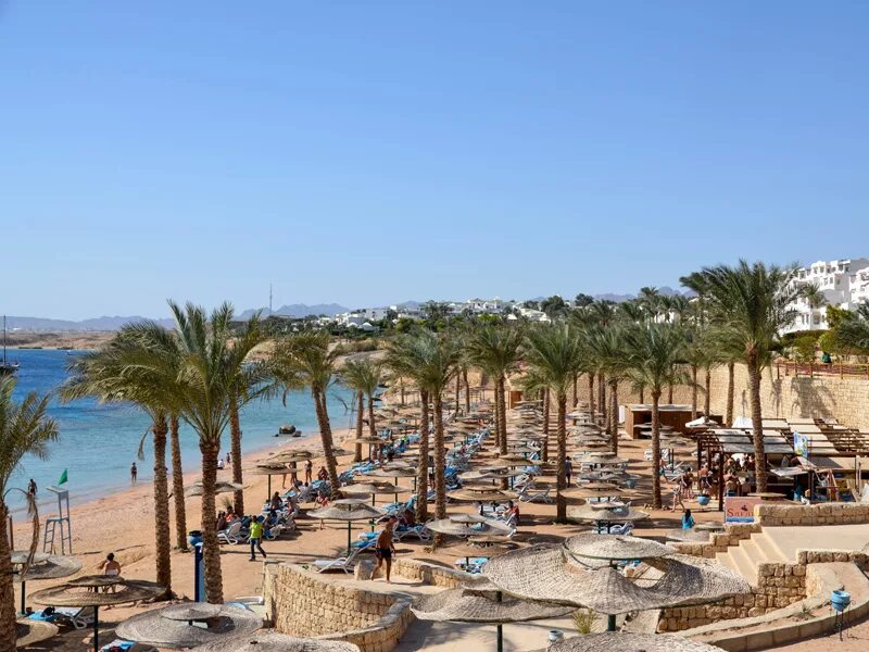 Continental plaza египет. Continental plaza resort aqua park 5 шарм-эль-шейх. T continental plaza beach 5. Continental plaza beach & aqua park resort 4*. T continental plaza beach 5.