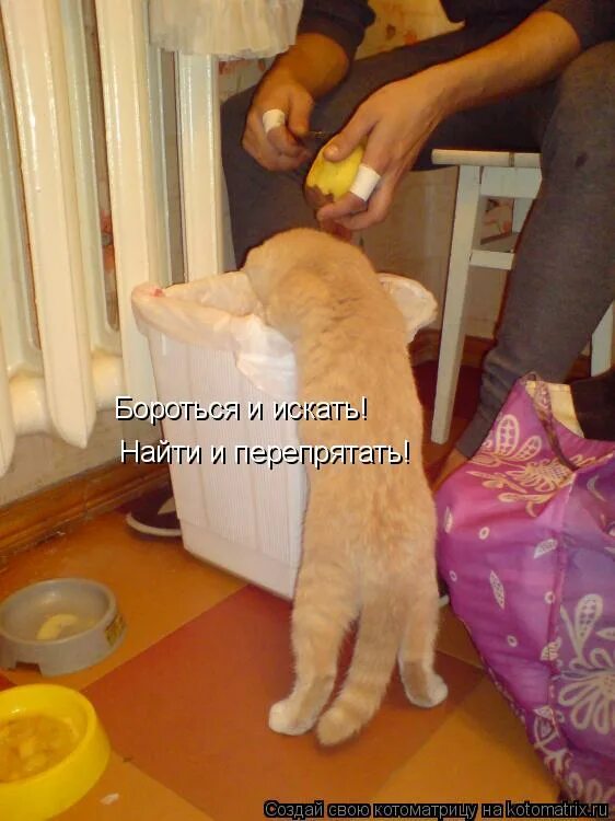 бороться и искать найти и перепрятать. бороться не сдаваться найти и перепрятать. искать найти и перепрятать. бороться иискать найти и препрятать. 978-5-17-081736-8 обложка книги.