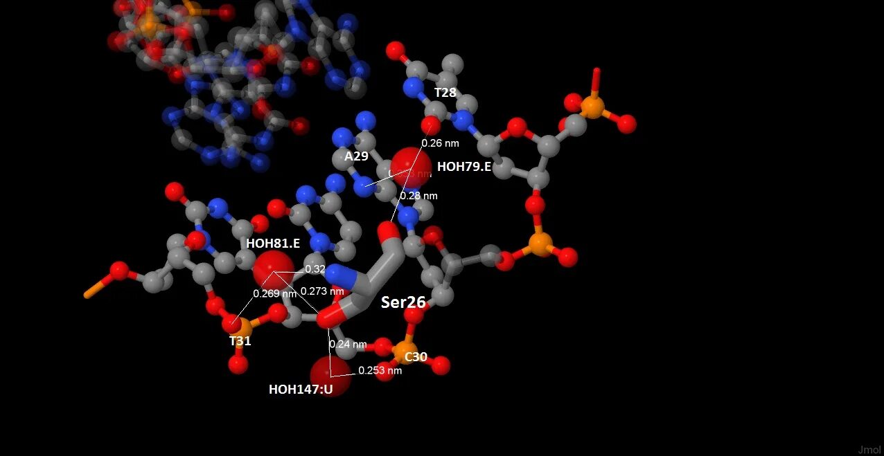 ДНК пептид. Эмблема Пептидес. Из каких компонентов построена молекула пептида?. Pal-k(Pro)-HG трипептид молекула.