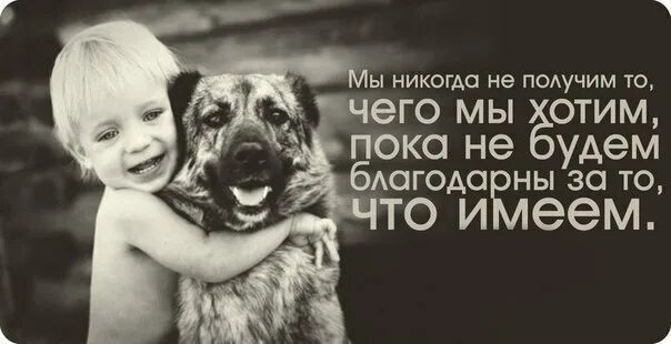 Будьте благодарны за то что имеете. Цитаты про животных. цитаты про животных и человека. любовь к животным цитаты. будьте благодарны.