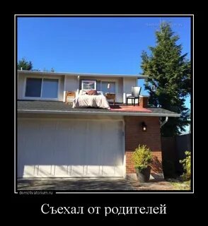 Пора съезжать вам сынок