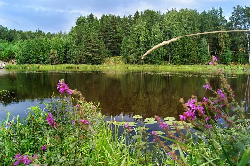 Будет лето на южном урале. Реки и озера Южного Урала. Красоты Южного Урала. Урал природа озера. Летняя природа Урал.