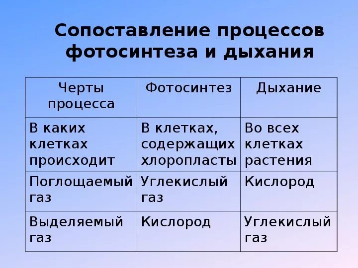 Таблица сравнение дыхания. Различия процесса дыхания и горения. Сравнение процессов дыхания и горения. Сходства процессов дыхания и горения. Сравнительная характеристика дыхания и горения.