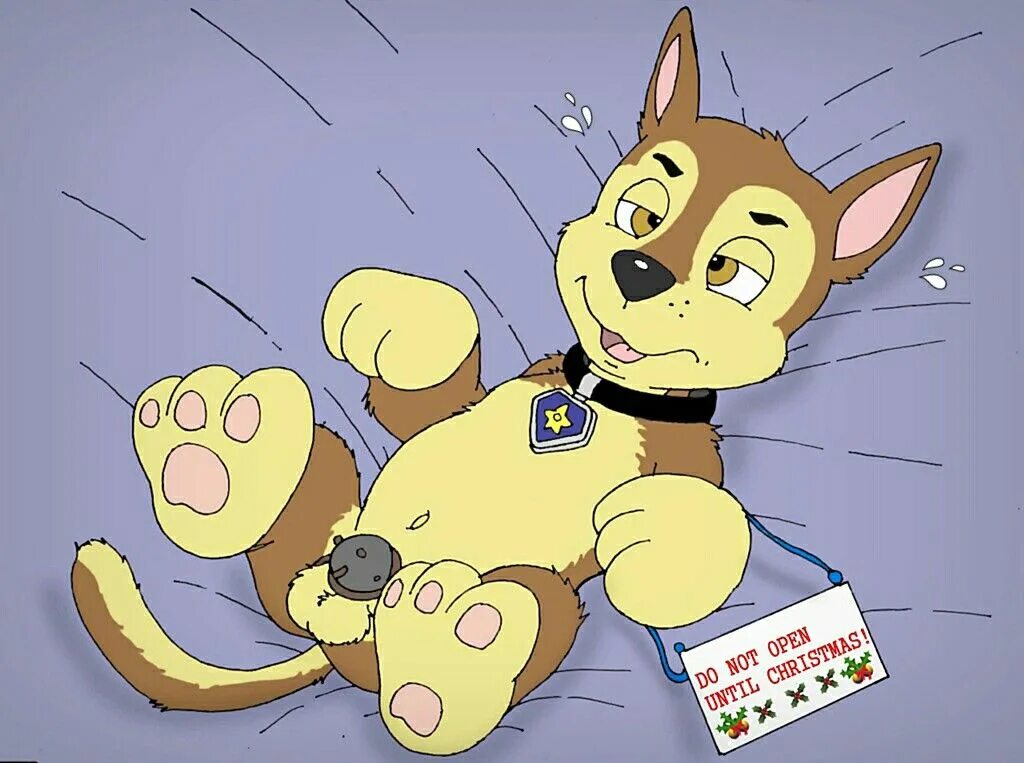 Chester rule 34