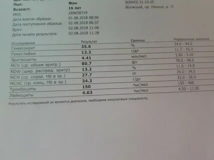 Оак отзывы