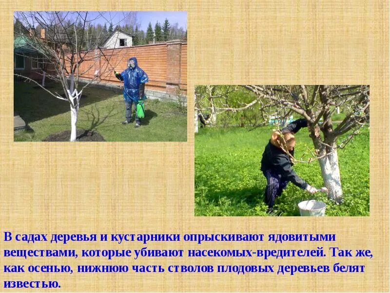 Весенний труд тест 2 класс. Труд людей весной. труд людей весной презентация для дошкольников. труд людей весной картинки для детей. занятие труд людей весной.