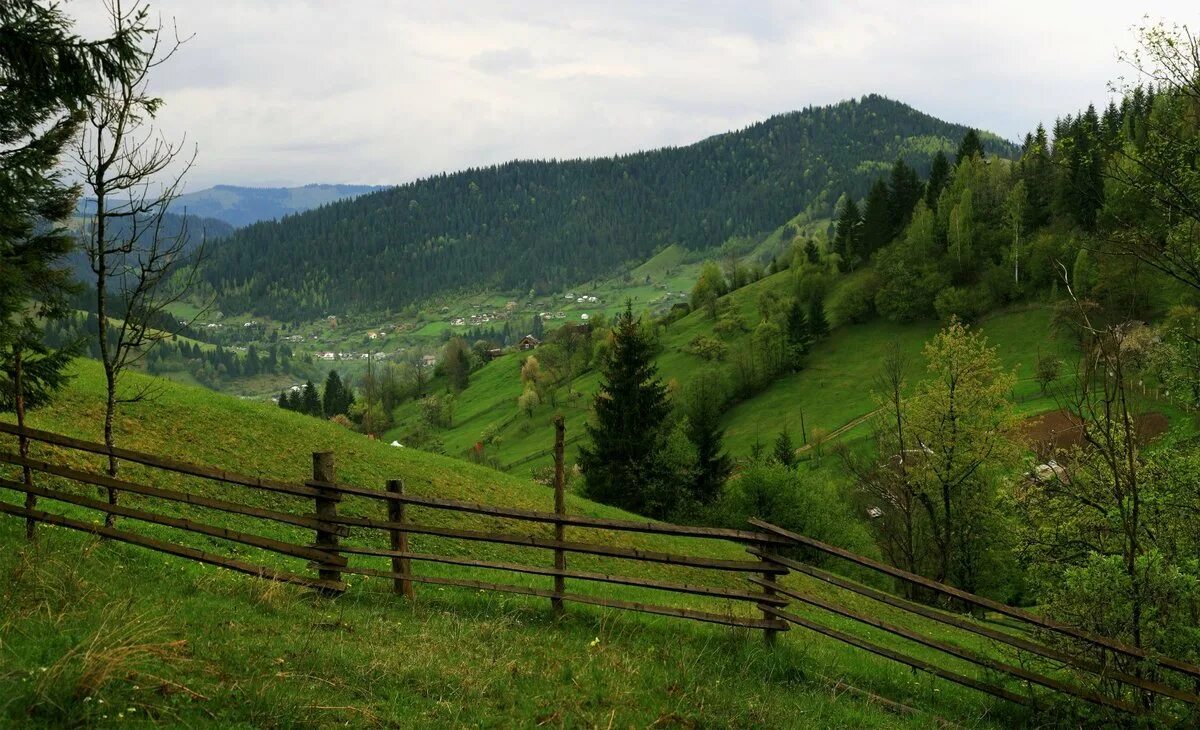 Карпаты какое государство. Гора Златибор Карпаты. Словакия Карпатские горы. Молдова Карпаты горы. Западная Украина Карпаты.