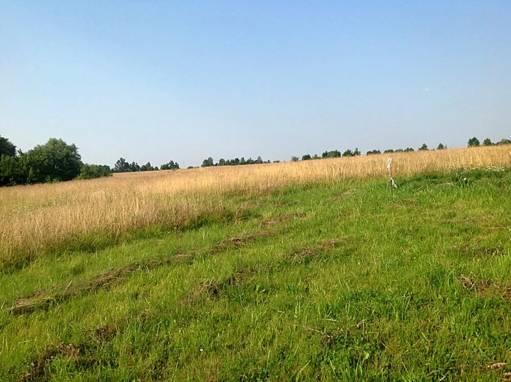 пос ушаково ул. земельные участки под калининградом. участок в калининграде. поселок сиренево калининградская область. снт сувенир гурьевский район участок 37.