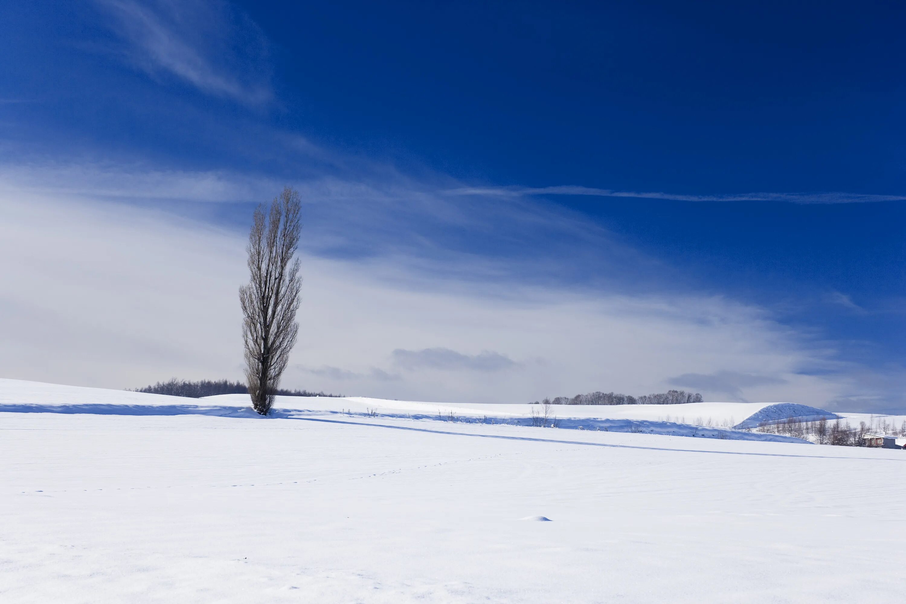 Зимнее небо. Снежное поле. Пустое зимнее поле. Зимняя равнина. Снежная равнина.