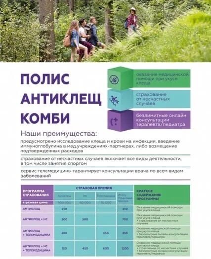 Страховка от клеща согласие. Антиклещ страхование. полис антиклещ. вск антиклещ страховка. антиклещ сумма страховки.