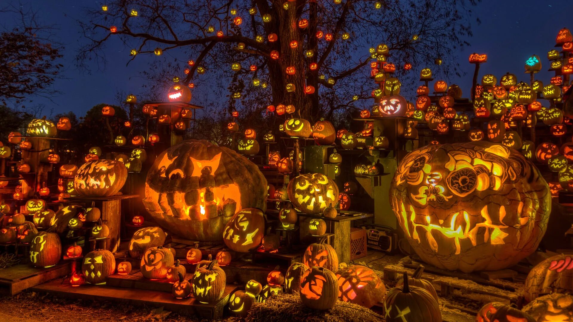Halloween events. Хэллоуин праздник. Празднование Хэллоуина. Хэллоуин в Великобритании. Хэллоуин фото.