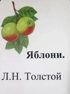 Л толстой яблони