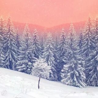 Зимние обои нарисованные