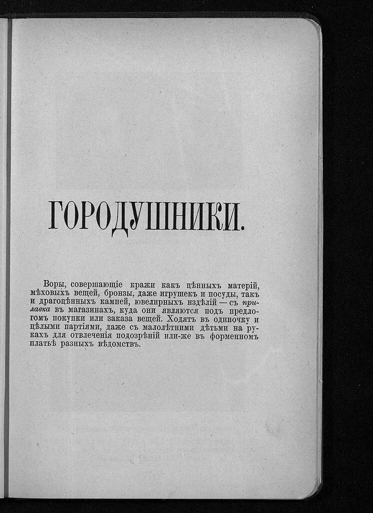 Дореволюционный словарь. Книга 1903 года. Книги о ворах СССР.