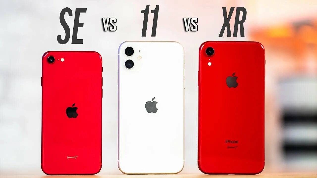 Iphone se vs iphone 11. Iphone 11 vs XR. Iphone se XR. Айфон XR И айфон 11. Айфон 11 se