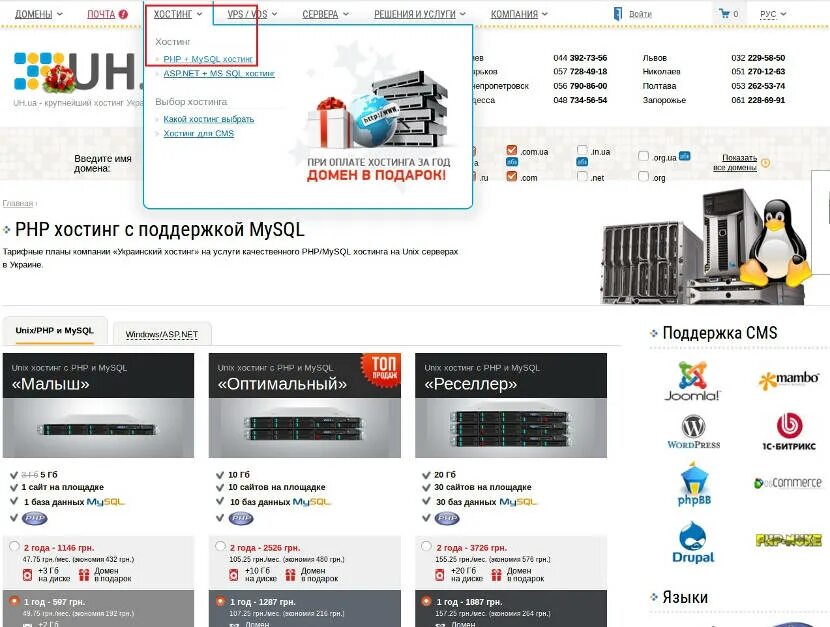 Российские сайты для размещение сайтов. Размещение сайта на хостинге. Размещение. Как размещается сайт на хостинг. Какой хостинг лучше.