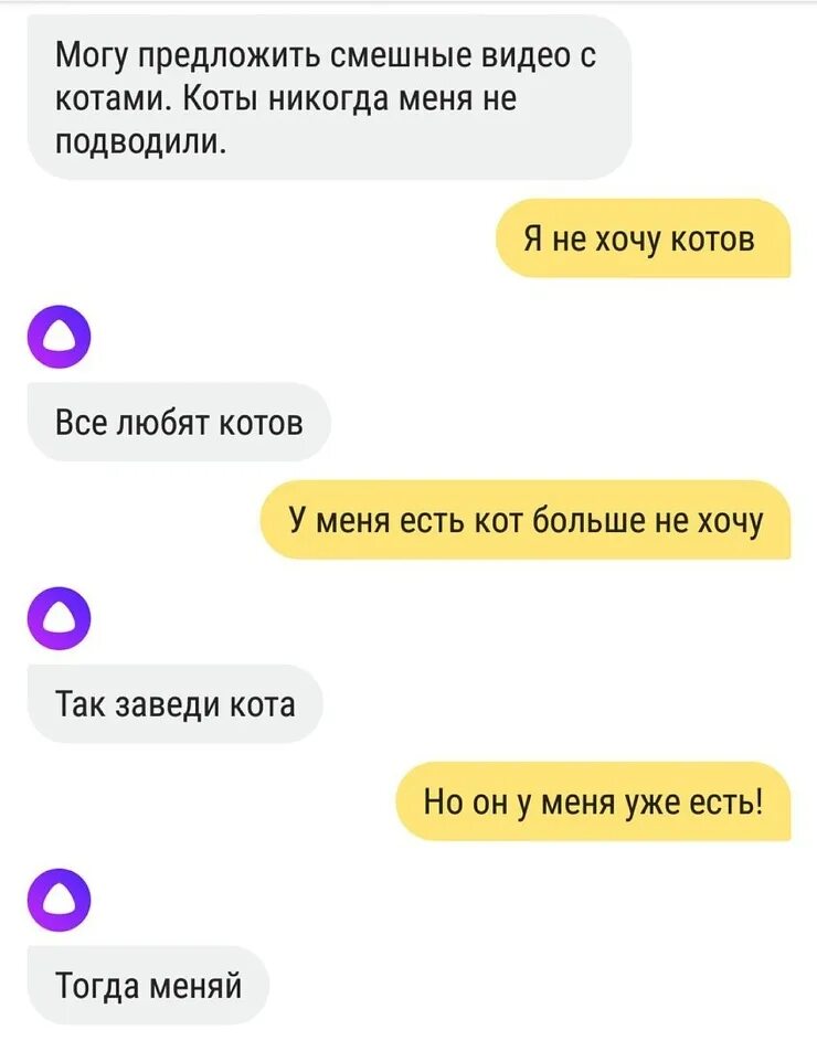 хочу пообщаться с алисой