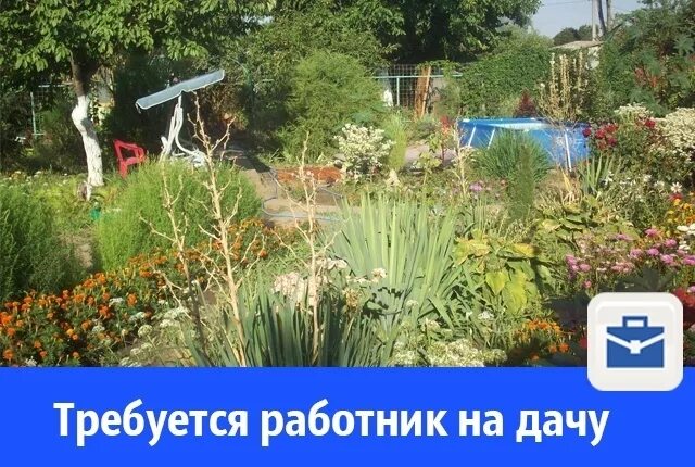 садовые работы. объявления дачный мастер. пенсионеры в огороде. прополка огорода. копать огород.
