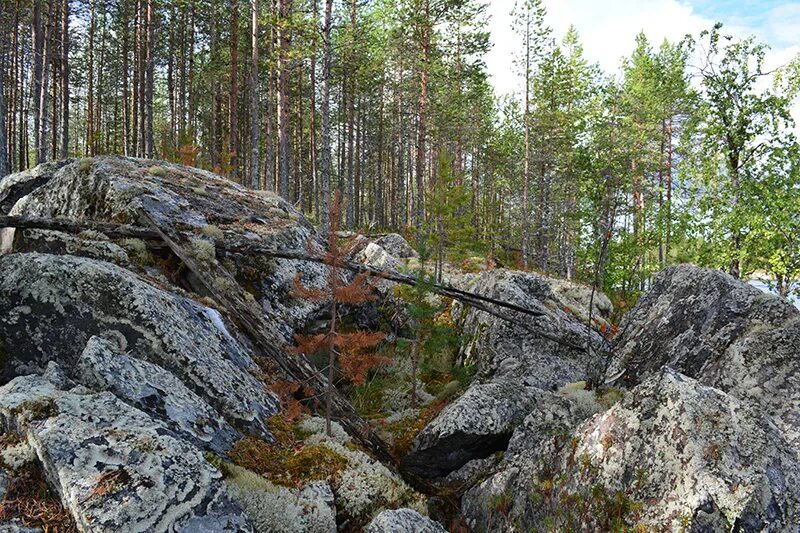 Сайт камни карелии