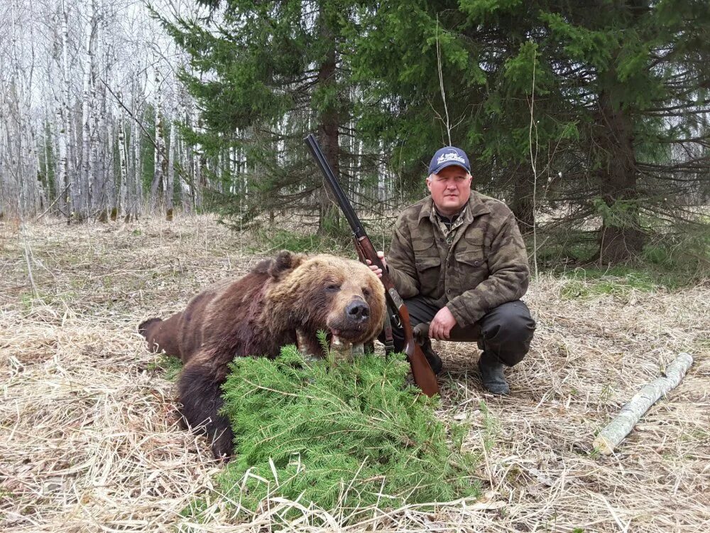 Загонная охота. Загонная охота. Загонная охота на лося и кабана. Охотники на ведьм фильм 2023. Последнее видео охотника.