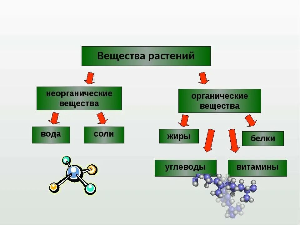 Что такое органические и неорганические вещества. Обнаружение неорганических и органических веществ в растении. Азот органическое или неорганическое вещество. Органические и неорганические вещества растений. Органические и неорганические соединения.