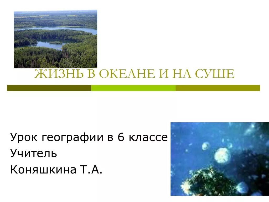 В связи с жизнью на суше. Жизнь в океане и на суше 6 класс. Жизнь в океане и на суше география. Жизнь на суше география 6 класс. Жизнь на суше презентация.