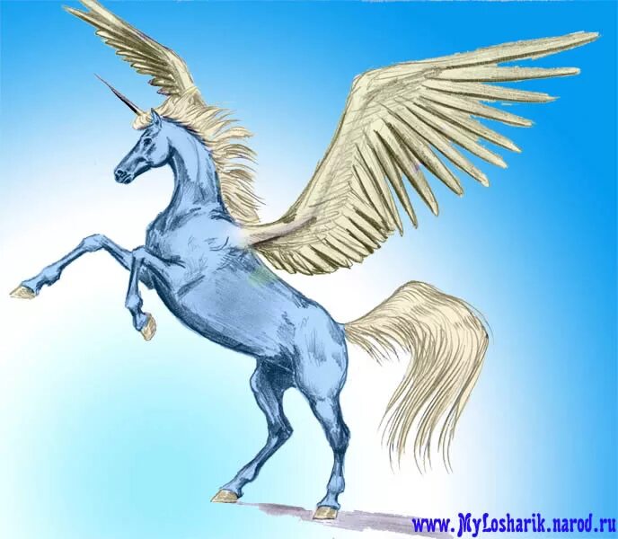 Отец крылатого коня пегаса. Пегас древнегреческая мифология. Пегас древняя Греция. Конь с крыльями. Единорог с крыльями.