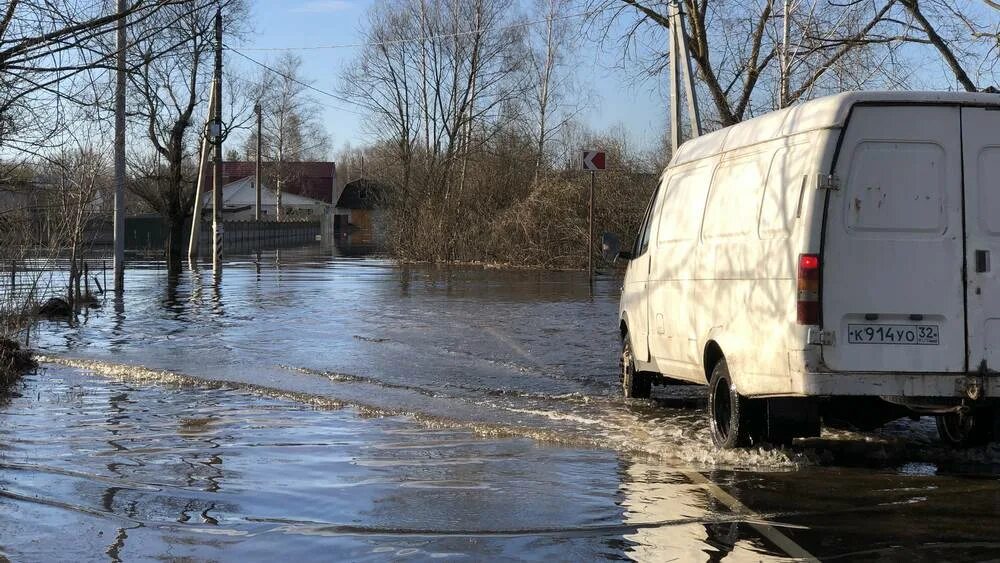 Паводок 2024 брянск прогноз. Радица-Крыловка Брянская область. Паводок фото. Половодье. Паводок 1994 Радица Крыловка.