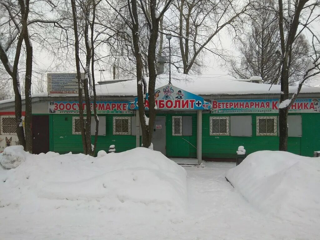 Ветеринарная клиника Айболит Вологда. Айболит Вологда Можайского. Можайского 47 Вологда. Вологодский ветеринарный центр Вологда.